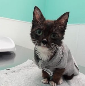 Meet your Posher, Cheri